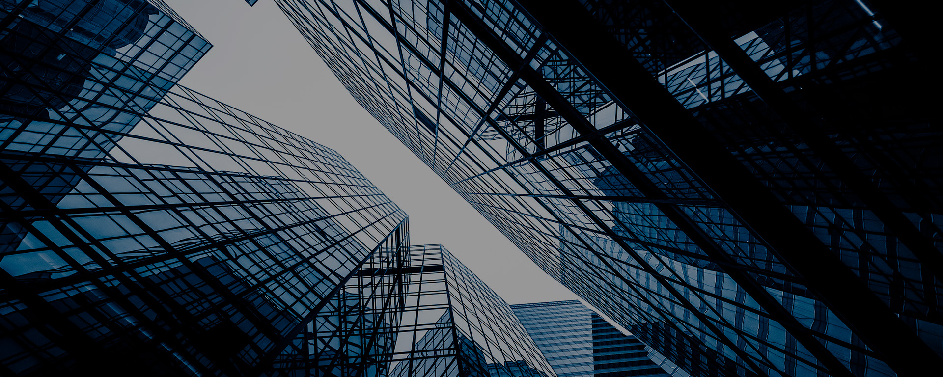 fieldwork market research company